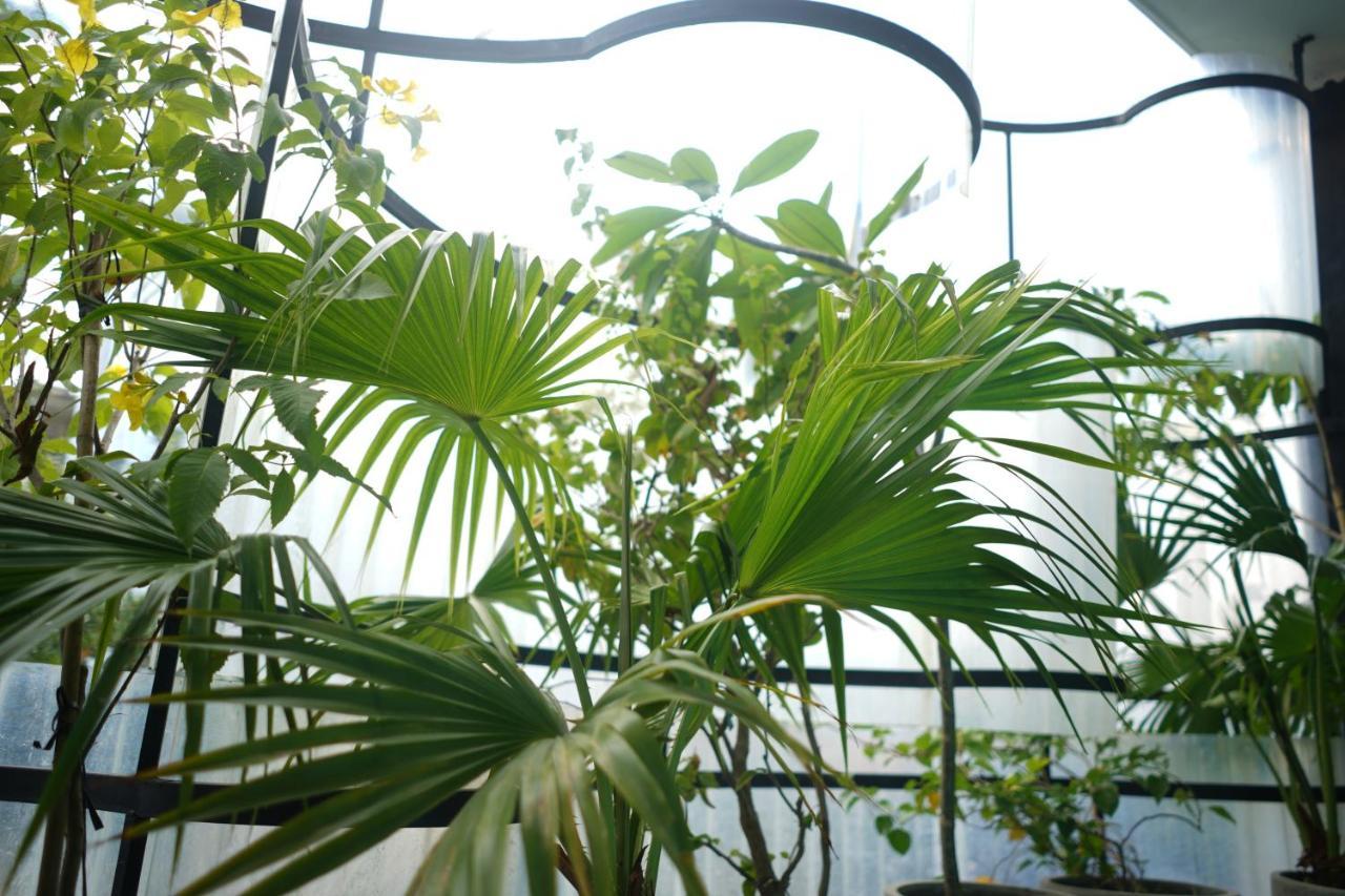 The Garden Hotel & Apartment Đà Nẵng Extérieur photo