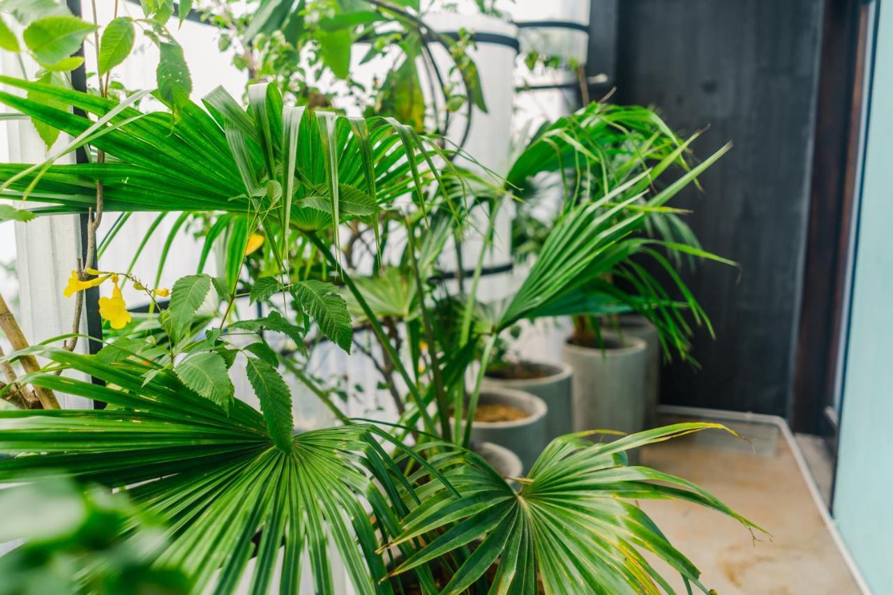 The Garden Hotel & Apartment Đà Nẵng Extérieur photo